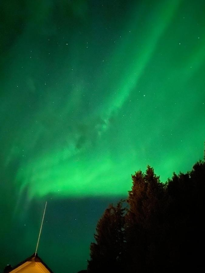Lyngen, Mackay Appartment, Lyngen Lyngseidet المظهر الخارجي الصورة