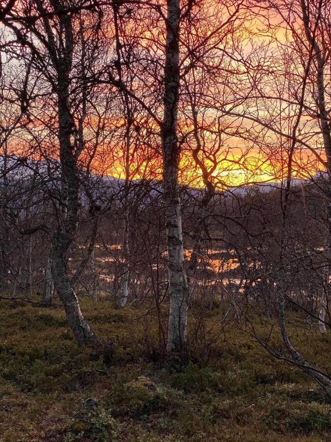 Lyngen, Mackay Appartment, Lyngen Lyngseidet المظهر الخارجي الصورة