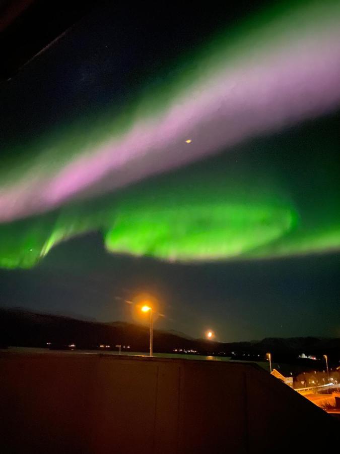 Lyngen, Mackay Appartment, Lyngen Lyngseidet المظهر الخارجي الصورة