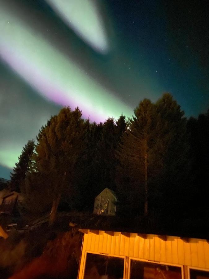 Lyngen, Mackay Appartment, Lyngen Lyngseidet المظهر الخارجي الصورة